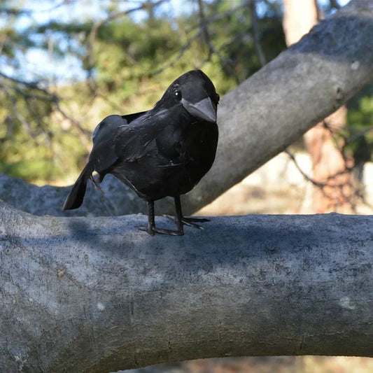 Realistic Crow Decorations