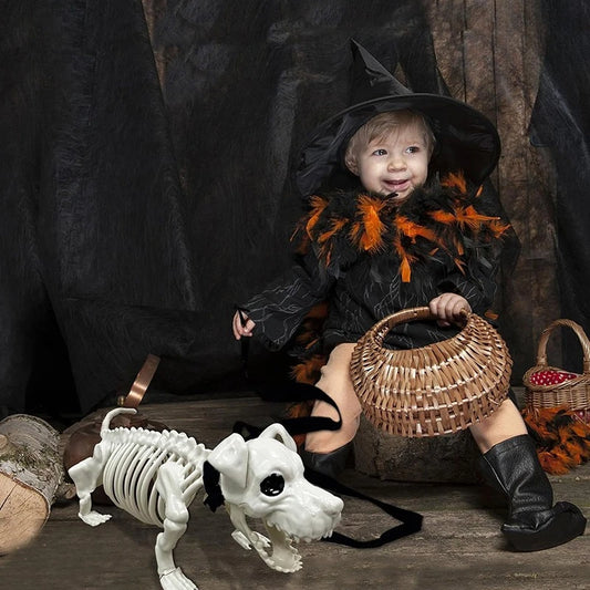 Spooky Skeleton Dog Decor