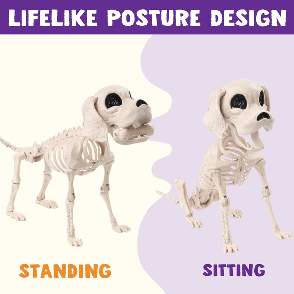 Spooky Skeleton Pet Decor