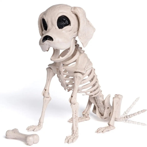 Spooky Skeleton Pet Decor