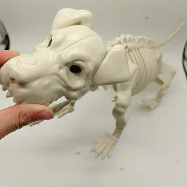 Spooky Skeleton Dog Decor