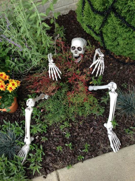 Skeleton Garden Stakes